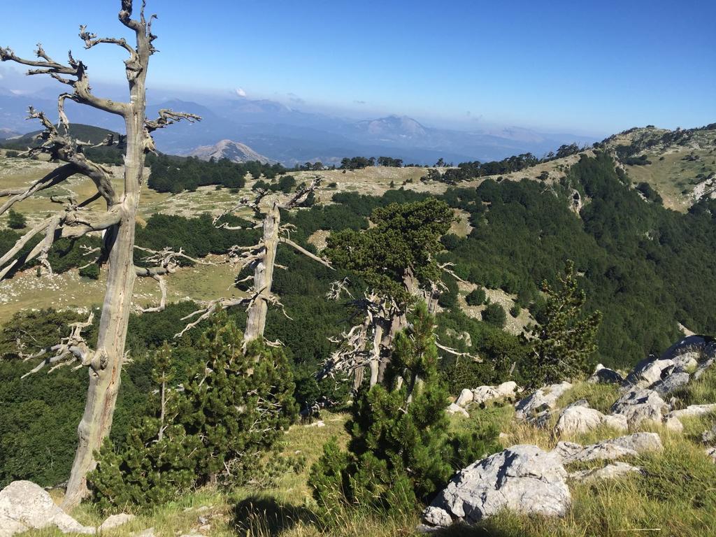 La Stella Del Pollino Hotel San Lorenzo Bellizzi Bagian luar foto